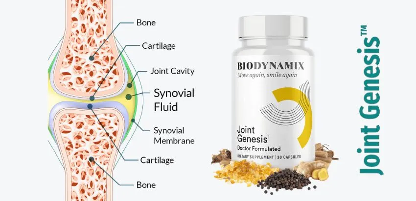 Joint Genesis Reviews